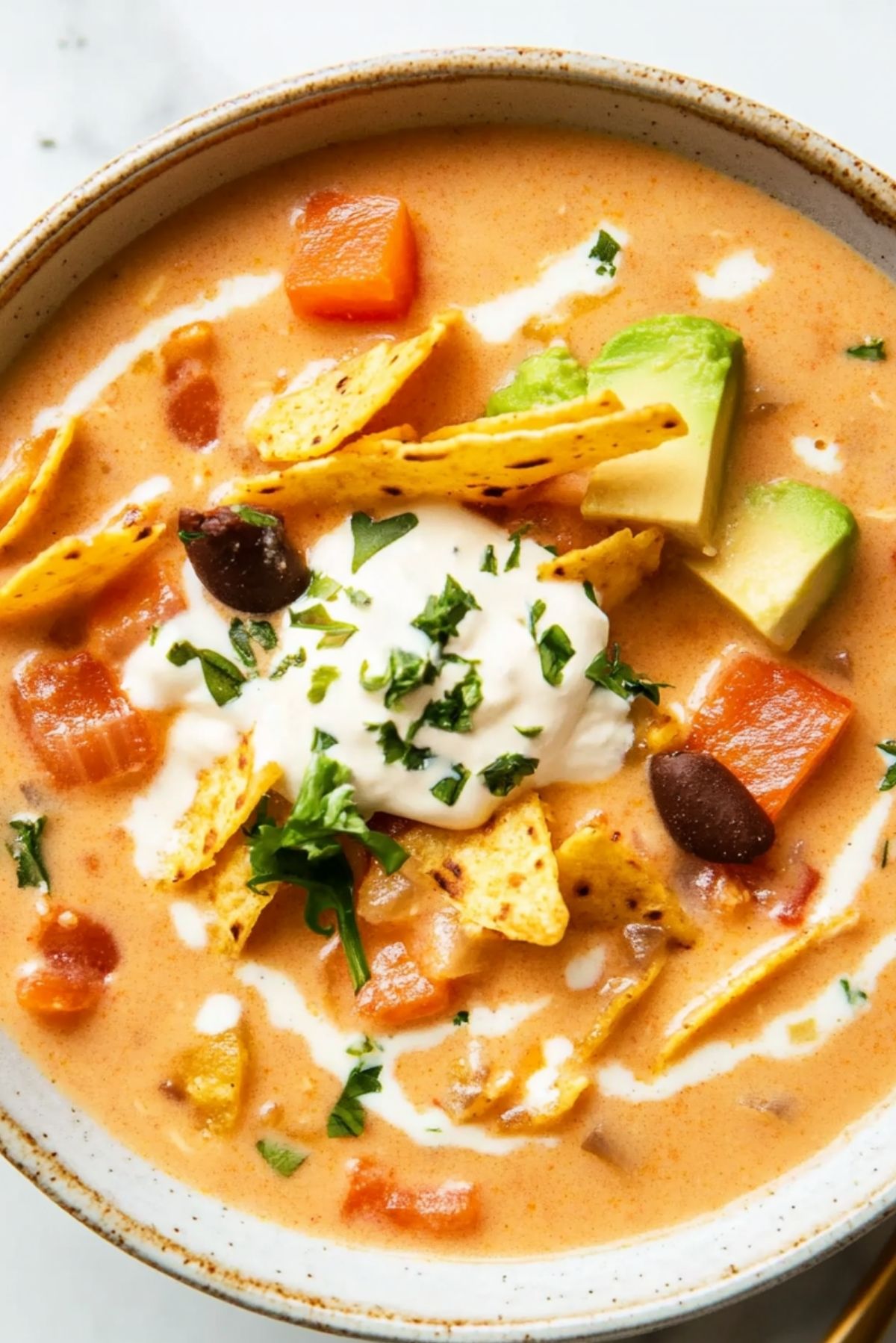 Creamy Chicken Tortilla Soup