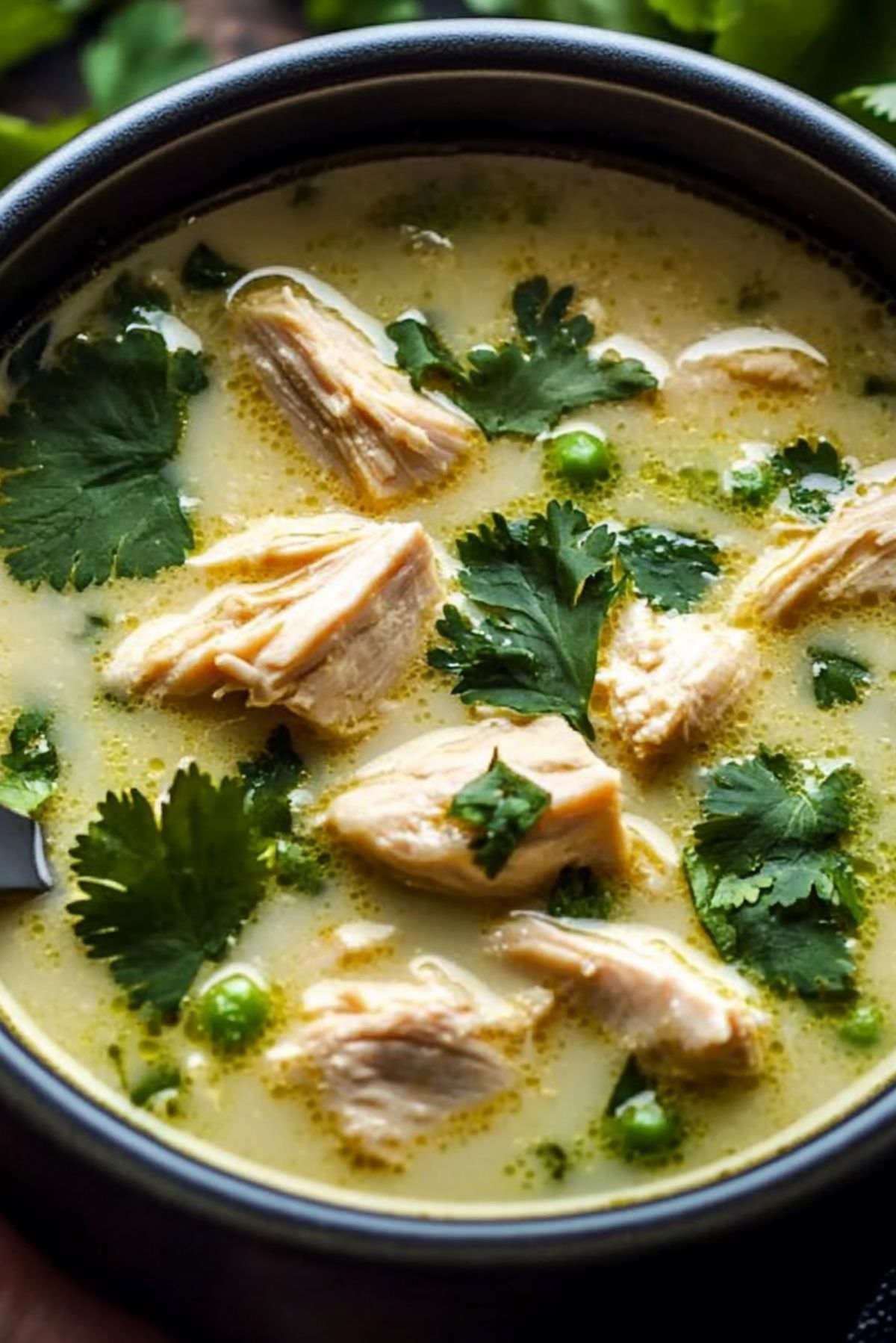 Hearty Coconut Cilantro Chicken Soup – A Comforting Bowl of Goodness