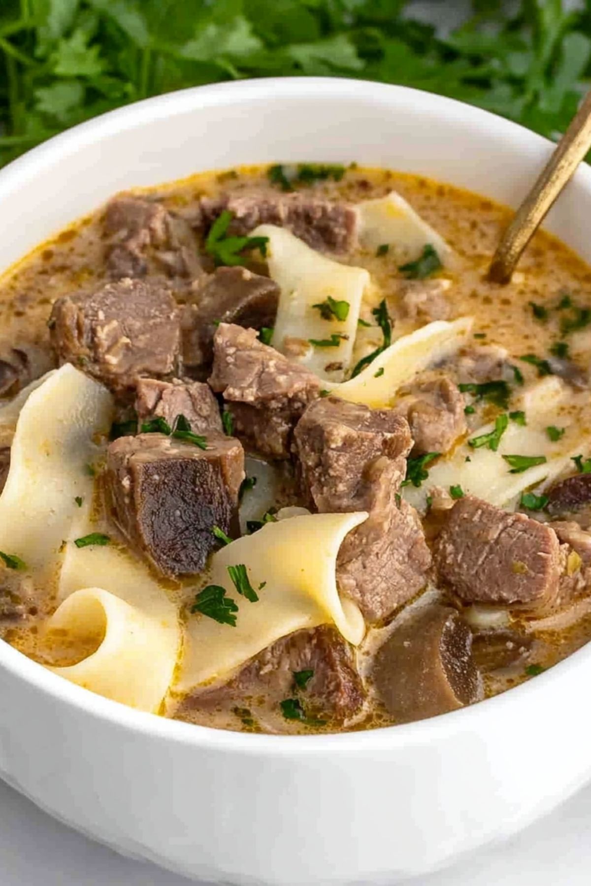 Beef Stroganoff Soup: Comfort in a Bowl