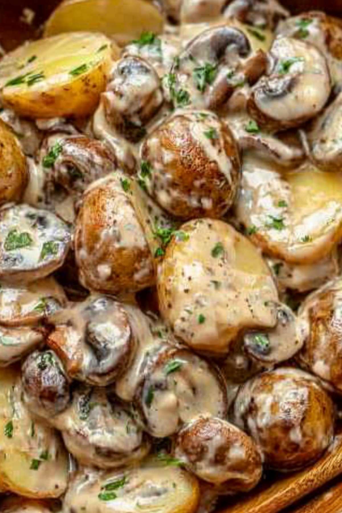 Mushroom Potatoes with Creamy Parmesan and Garlic Sauce