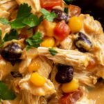 Crock Pot Fiesta Chicken: The Ultimate Dump-and-Go Dinner Recipe